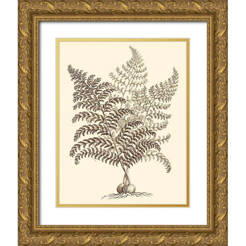 Sepia Munting Foliage VI Gold Ornate Wood Framed Art Print with Double Matting by Munting, Abraham