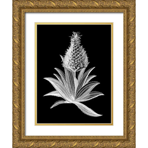 Pineapple Noir I Gold Ornate Wood Framed Art Print with Double Matting by Vision Studio