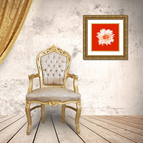 Vivid Bouquet Gold Ornate Wood Framed Art Print with Double Matting by Jason Johnson