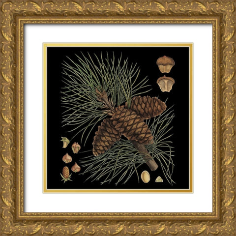 Dramatic Conifers V Gold Ornate Wood Framed Art Print with Double Matting by Vision Studio