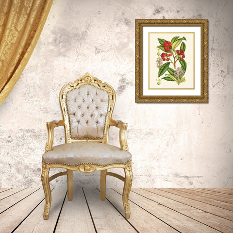 Crimson Berries I Gold Ornate Wood Framed Art Print with Double Matting by Curtis