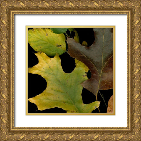 Vivid Leaves II Gold Ornate Wood Framed Art Print with Double Matting by Vision Studio