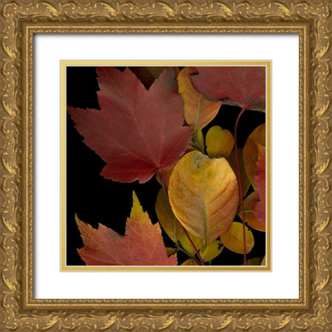 Vivid Leaves IV Gold Ornate Wood Framed Art Print with Double Matting by Vision Studio