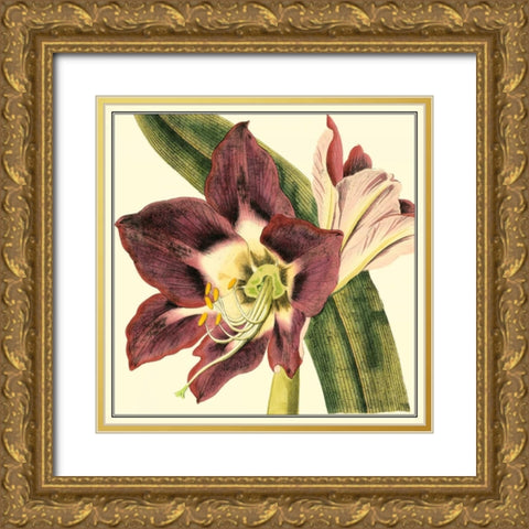 Poetic Blossoms III Gold Ornate Wood Framed Art Print with Double Matting by Vision Studio