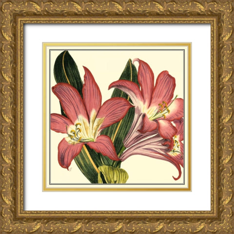 Poetic Blossoms IV Gold Ornate Wood Framed Art Print with Double Matting by Vision Studio