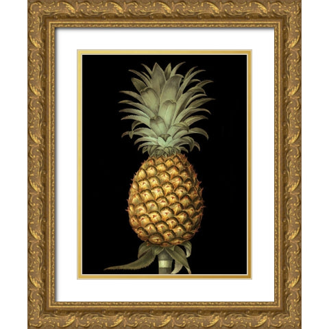 Brookshaw Exotic Pineapple I Gold Ornate Wood Framed Art Print with Double Matting by Brookshaw, George
