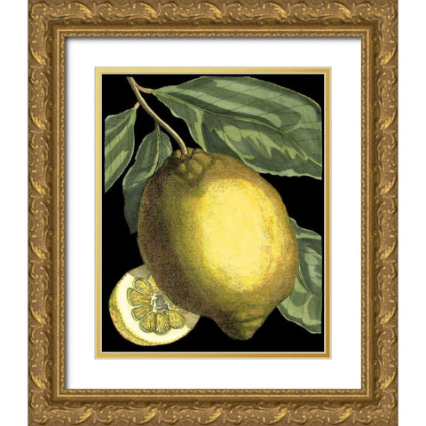 Fragrant Citrus II Gold Ornate Wood Framed Art Print with Double Matting by Volckamer, Johann C.