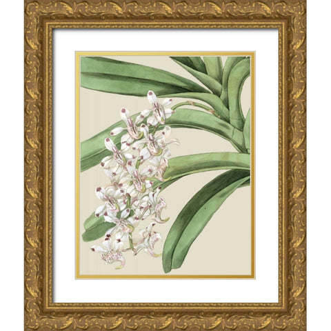 Orchid Blooms I Gold Ornate Wood Framed Art Print with Double Matting by Vision Studio