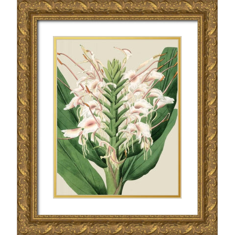 Orchid Blooms IV Gold Ornate Wood Framed Art Print with Double Matting by Vision Studio