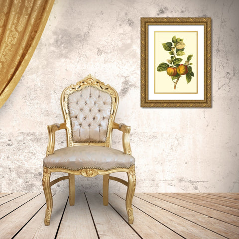 Bessa Apple Gold Ornate Wood Framed Art Print with Double Matting by Bessa