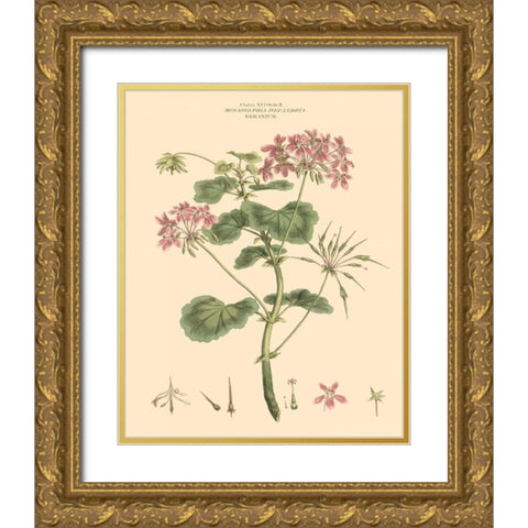 Blushing Pink Florals IV Gold Ornate Wood Framed Art Print with Double Matting by Miller, John
