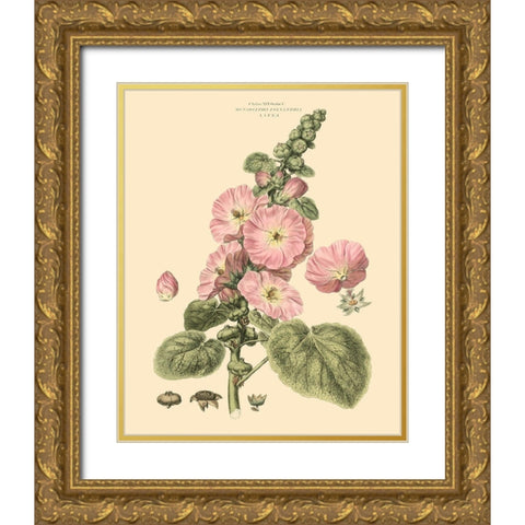 Blushing Pink Florals V Gold Ornate Wood Framed Art Print with Double Matting by Miller, John