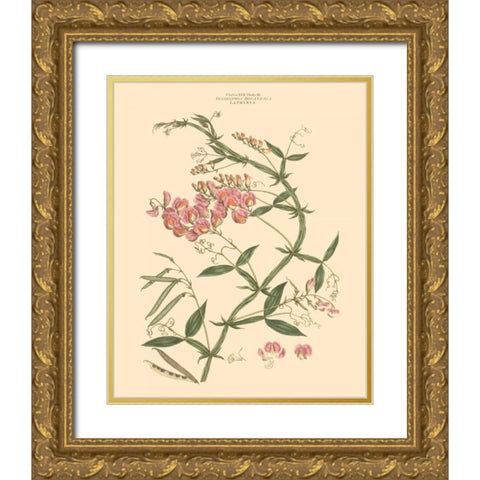 Blushing Pink Florals VI Gold Ornate Wood Framed Art Print with Double Matting by Miller, John