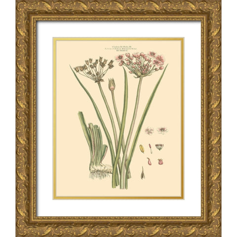 Blushing Pink Florals VIII Gold Ornate Wood Framed Art Print with Double Matting by Miller, John