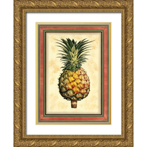 Pineapple Splendor I Gold Ornate Wood Framed Art Print with Double Matting by Vision Studio