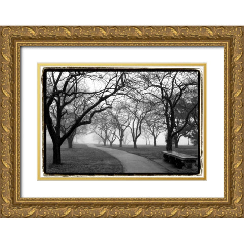 Foggy Morning Walk Gold Ornate Wood Framed Art Print with Double Matting by DeNardo, Laura