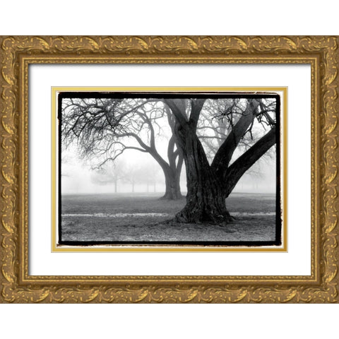 Strength - Beauty Gold Ornate Wood Framed Art Print with Double Matting by DeNardo, Laura