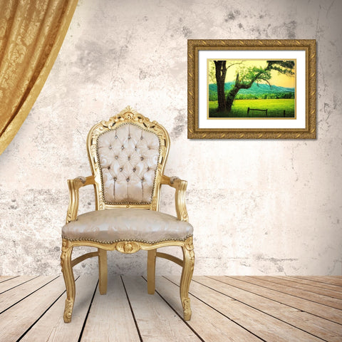 Morning at the Cove II Gold Ornate Wood Framed Art Print with Double Matting by Head, Danny