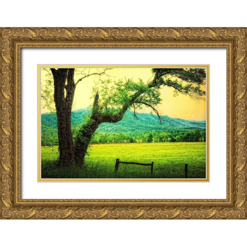 Morning at the Cove II Gold Ornate Wood Framed Art Print with Double Matting by Head, Danny