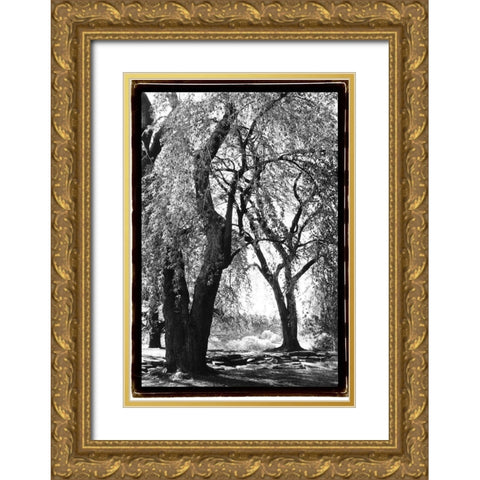 Summer Shade III Gold Ornate Wood Framed Art Print with Double Matting by DeNardo, Laura