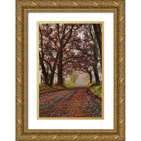 Morning on Sparks Lane II Gold Ornate Wood Framed Art Print with Double Matting by Head, Danny