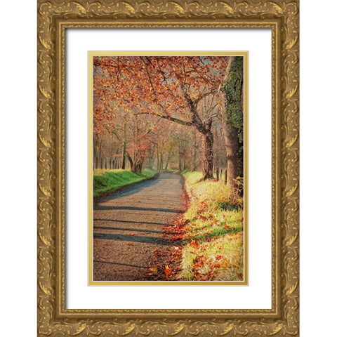 Morning on Sparks Lane III Gold Ornate Wood Framed Art Print with Double Matting by Head, Danny