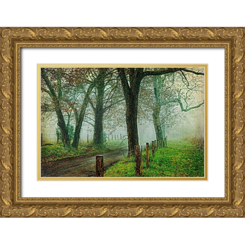 Morning on Sparks Lane IV Gold Ornate Wood Framed Art Print with Double Matting by Head, Danny