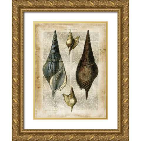 Antiquarian Seashells II Gold Ornate Wood Framed Art Print with Double Matting by Vision Studio