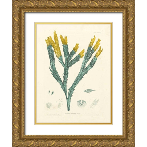 Luminous Seaweed I Gold Ornate Wood Framed Art Print with Double Matting by Bradbury, Henry