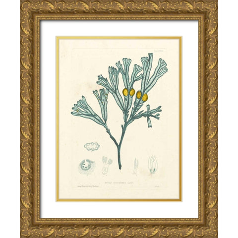 Luminous Seaweed II Gold Ornate Wood Framed Art Print with Double Matting by Bradbury, Henry