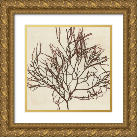 Brilliant Seaweed II Gold Ornate Wood Framed Art Print with Double Matting by Vision Studio