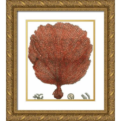 Red Coral II Gold Ornate Wood Framed Art Print with Double Matting by Vision Studio