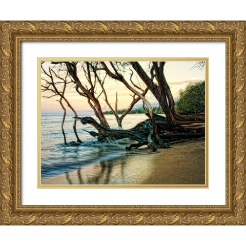 Reaching for the Sea I Gold Ornate Wood Framed Art Print with Double Matting by Head, Danny