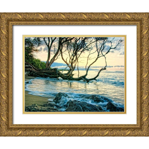 Reaching for the Sea II Gold Ornate Wood Framed Art Print with Double Matting by Head, Danny