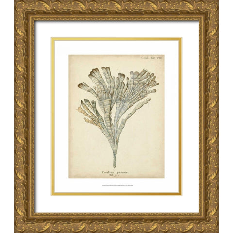 Coral Collection I Gold Ornate Wood Framed Art Print with Double Matting by Esper, Johann