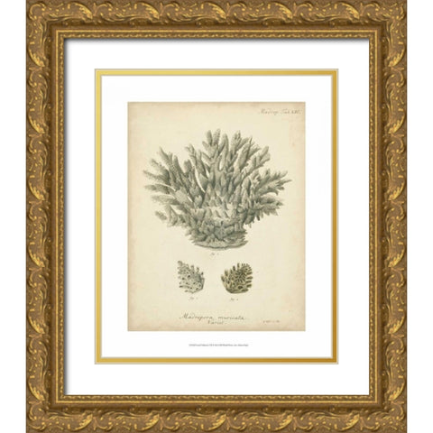 Coral Collection VII Gold Ornate Wood Framed Art Print with Double Matting by Esper, Johann