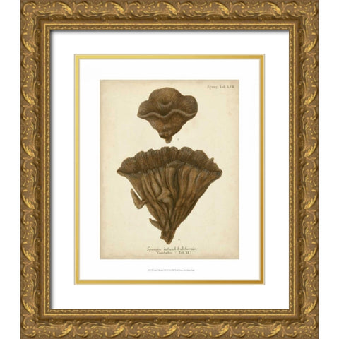Coral Collection VIII Gold Ornate Wood Framed Art Print with Double Matting by Esper, Johann