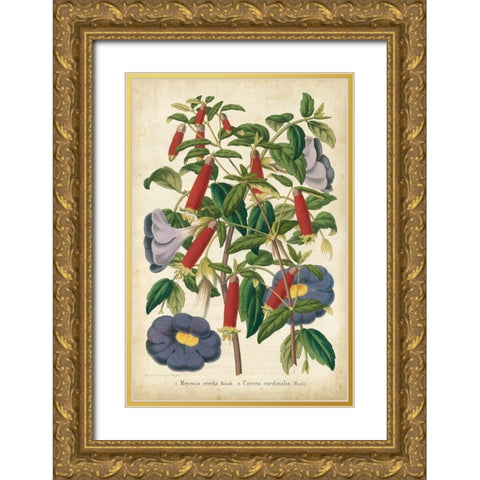 Summer Medley I Gold Ornate Wood Framed Art Print with Double Matting by Severeyns