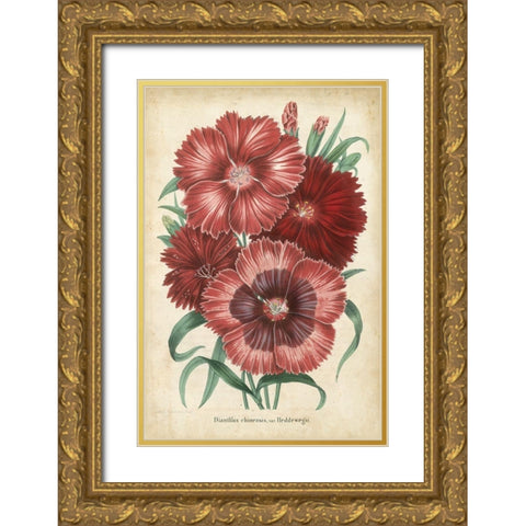 Summer Medley II Gold Ornate Wood Framed Art Print with Double Matting by Severeyns