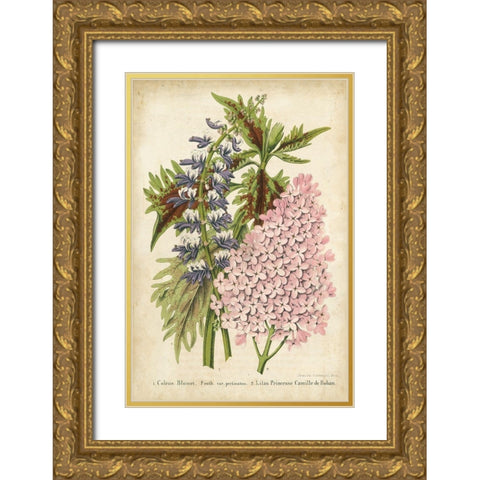 Summer Medley IV Gold Ornate Wood Framed Art Print with Double Matting by Severeyns