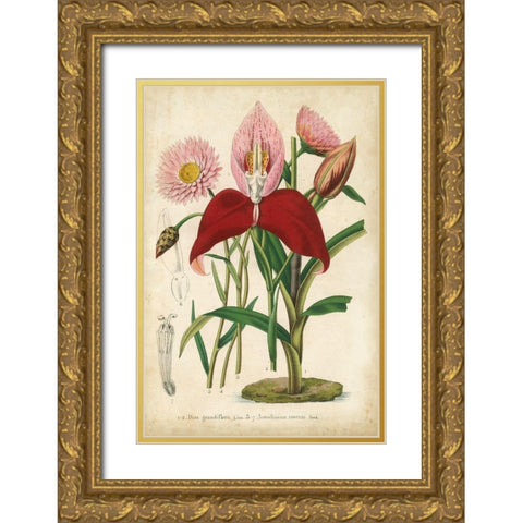 Summer Medley V Gold Ornate Wood Framed Art Print with Double Matting by Severeyns