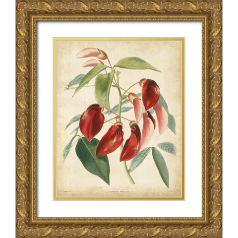 Tropical Floral I Gold Ornate Wood Framed Art Print with Double Matting by Edmonston and Douglas