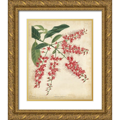 Tropical Floral III Gold Ornate Wood Framed Art Print with Double Matting by Edmonston and Douglas