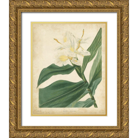 Tropical Floral IV Gold Ornate Wood Framed Art Print with Double Matting by Edmonston and Douglas