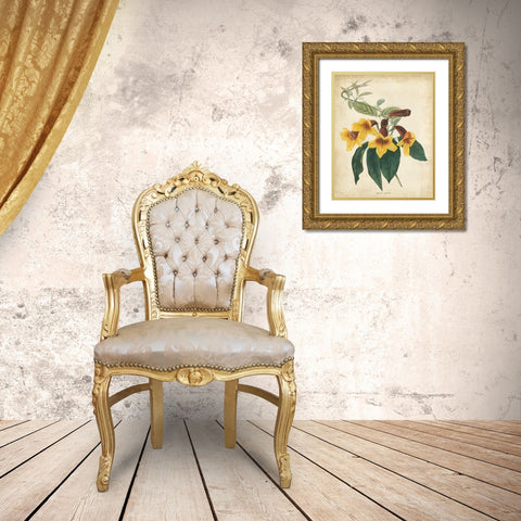 Tropical Floral VI Gold Ornate Wood Framed Art Print with Double Matting by Edmonston and Douglas