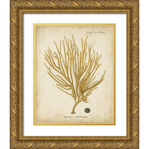 Esper Antique Coral IV Gold Ornate Wood Framed Art Print with Double Matting by Esper, Johann