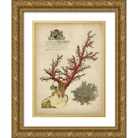 Imperial Coral II Gold Ornate Wood Framed Art Print with Double Matting by Vision Studio