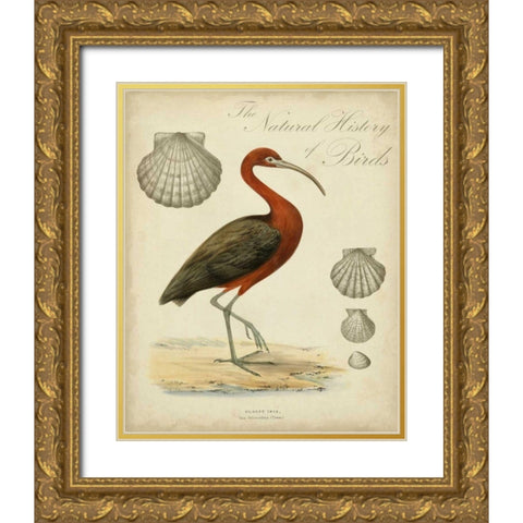 Heron Anthology II Gold Ornate Wood Framed Art Print with Double Matting by Vision Studio