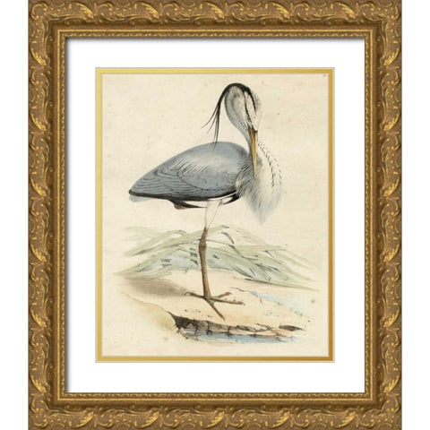 Antique Heron IV Gold Ornate Wood Framed Art Print with Double Matting by Unknown