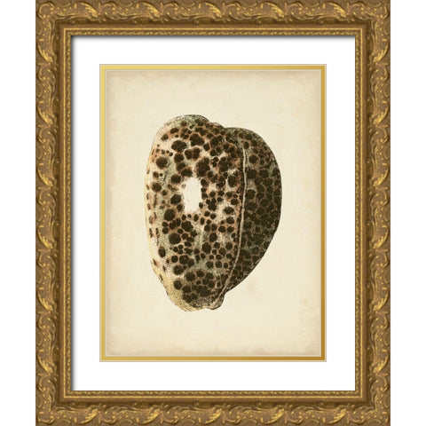 Sealife Collection III Gold Ornate Wood Framed Art Print with Double Matting by Vision Studio